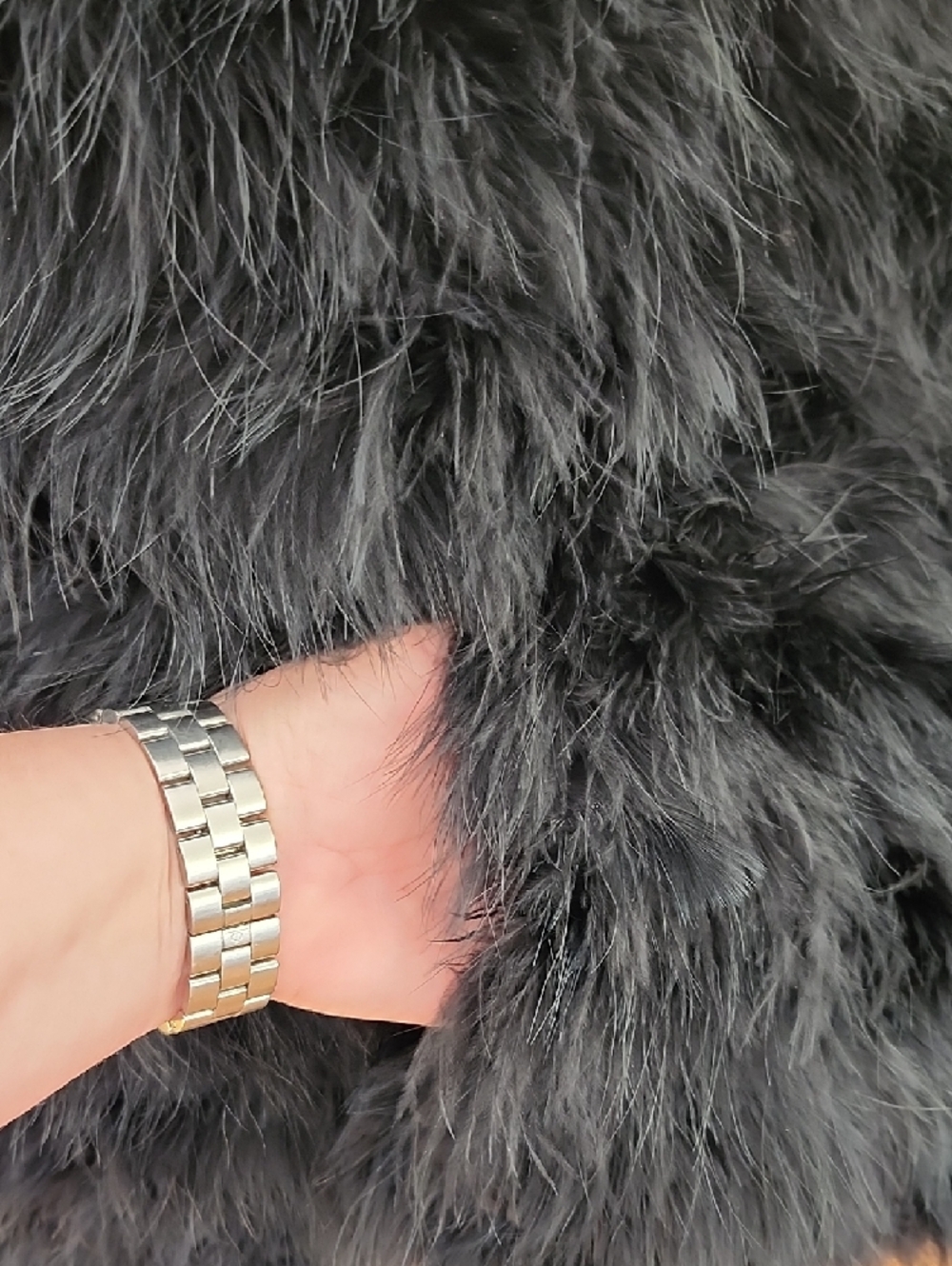 NEW - BCBGMaxAzria "Zoey" Black Ostrich Feather Jacket - Picture 8 of 13